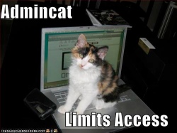 Admin Cat